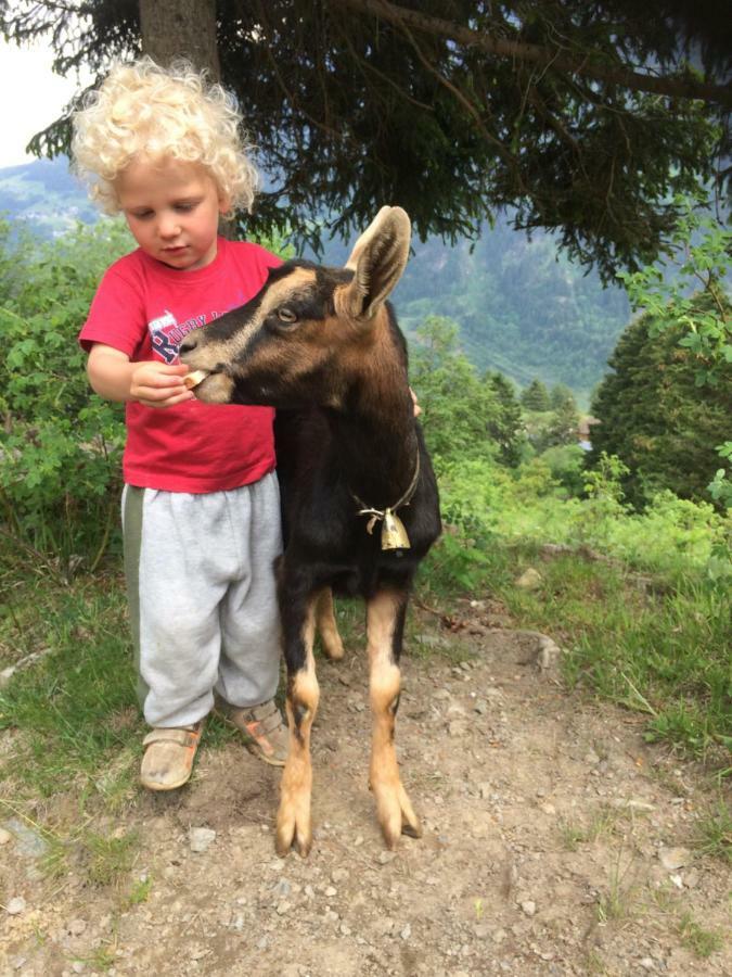 Pirchachhof Leilighet Wenns Eksteriør bilde